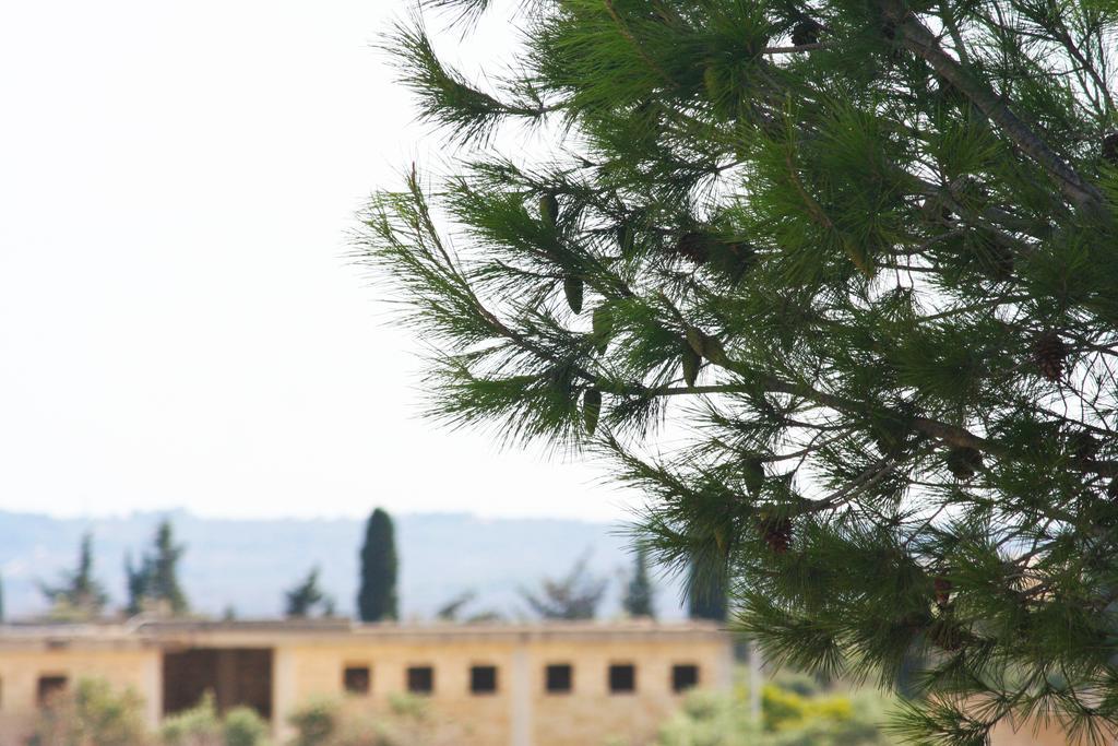 B&B Via Gallipoli Alezio Εξωτερικό φωτογραφία